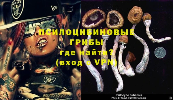 мескалин Козловка